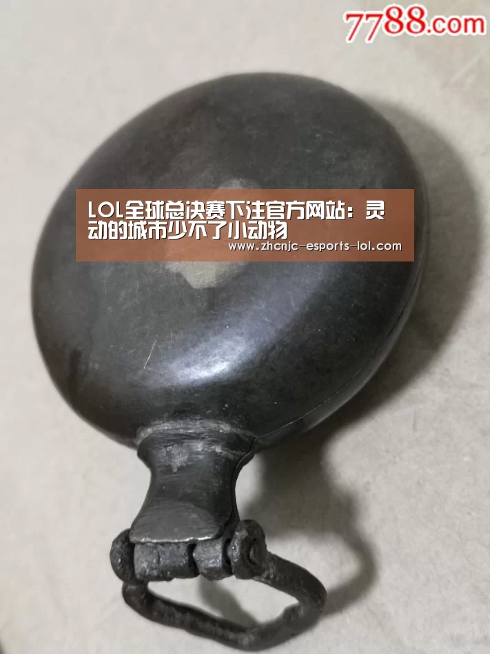 LOL全球总决赛下注官方网站:灵动的城市少不了小动物(图2) LOL全球总决赛下注官方网站
