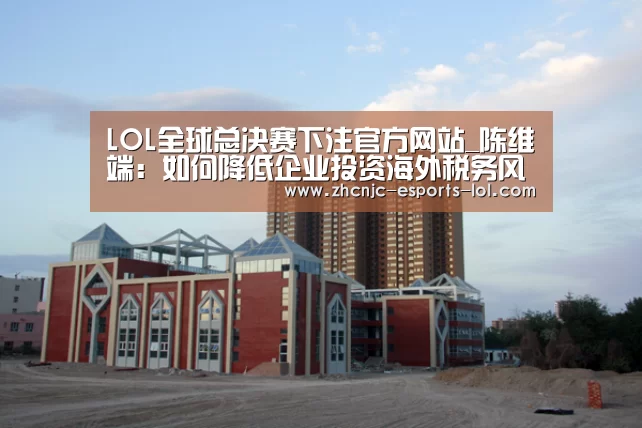 LOL全球总决赛下注官方网站_陈维端:如何降低企业投资海外税务风险