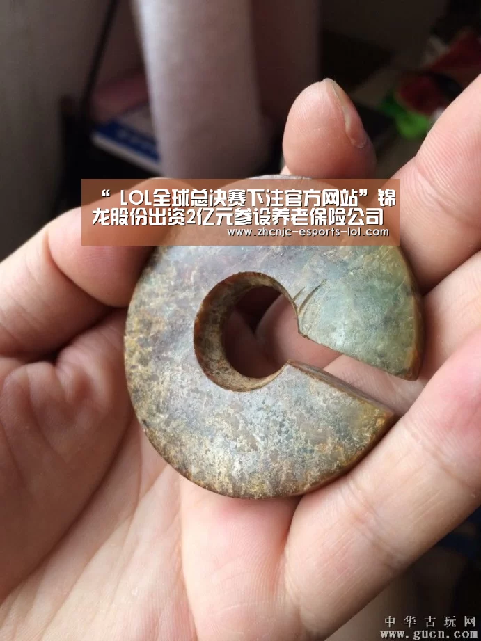 “ LOL全球总决赛下注官方网站”锦龙股份出资2亿元参设养老保险公司(图4) 英雄联盟竞猜大厅