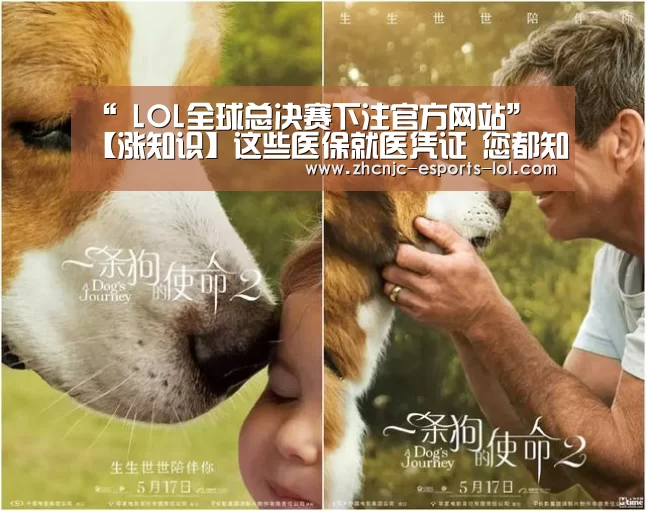 “ LOL全球总决赛下注官方网站”
【涨知识】这些医保就医凭证 您都知道吗？